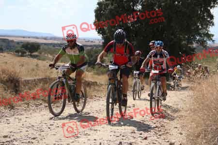 PABLO BOYERO BRAVO Talajara 2015 39921