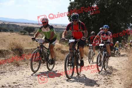 PABLO BOYERO BRAVO Talajara 2015 39922