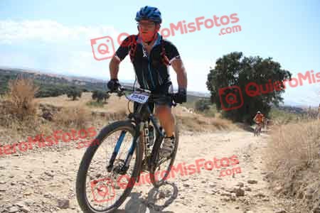 Talajara 2015 39992