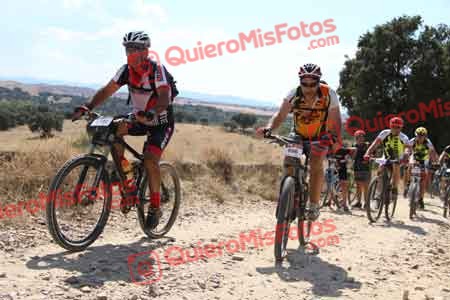 JESUS CALVO RECIO Talajara 2015 40017