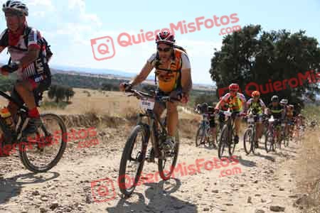 JESUS CALVO RECIO Talajara 2015 40018