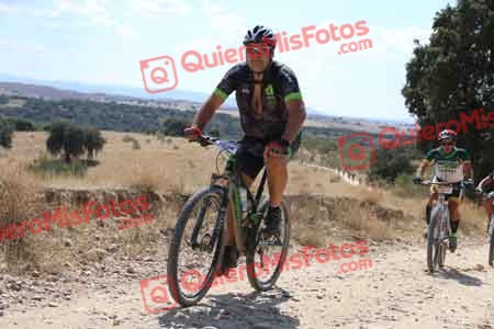RICARDO FLORES DIEZ Talajara 2015 40144