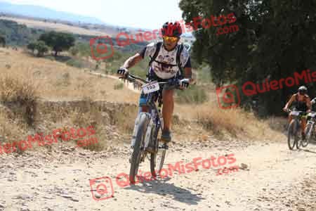 PEDRO MARTIN TELLEZ Talajara 2015 40149