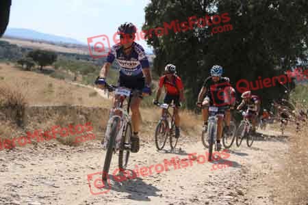 JESUS MELCHOR DEL PINO Talajara 2015 40179