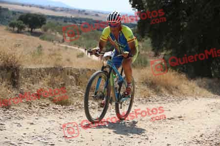 JOSE MARIA RAMOS FRUTOS Talajara 2015 40210