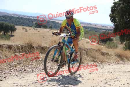 JOSE MARIA RAMOS FRUTOS Talajara 2015 40211