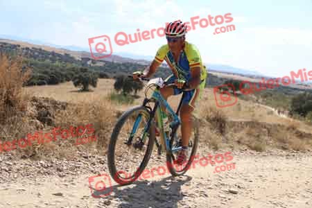 JOSE MARIA RAMOS FRUTOS Talajara 2015 40212