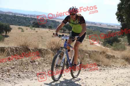 SERGIO SAEZ AYALA Talajara 2015 40464