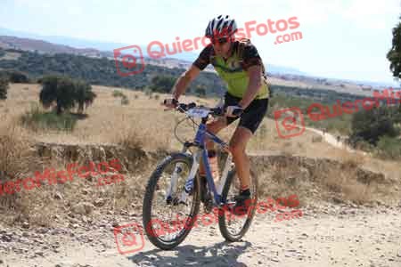 SERGIO SAEZ AYALA Talajara 2015 40465