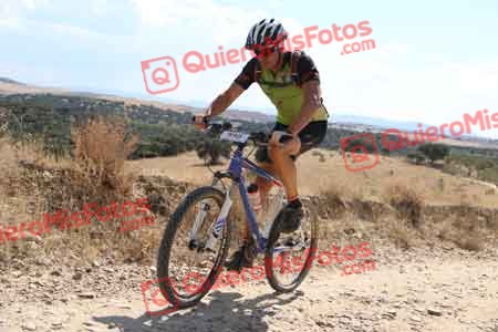 SERGIO SAEZ AYALA Talajara 2015 40466