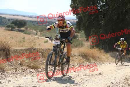 JUAN CARLOS MARTIN CRIADO Talajara 2015 40578