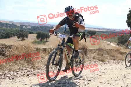 JAVIER PULIDO MARTINEZ Talajara 2015 40595