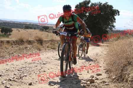 JOSE LUIS MARTIN NEVADO Talajara 2015 40742