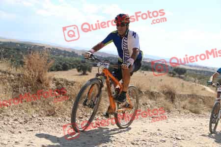 MIGUEL MARTINEZ CAMACHO Talajara 2015 40880