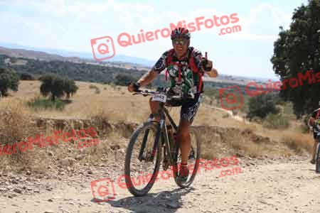 HIPOLITO ATIENZA LERIN Talajara 2015 40892