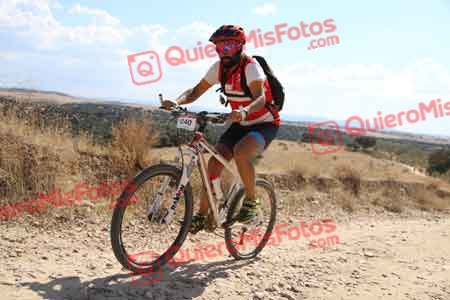 JOSE TOMAS CEDENILLAS BERNAL Talajara 2015 41096