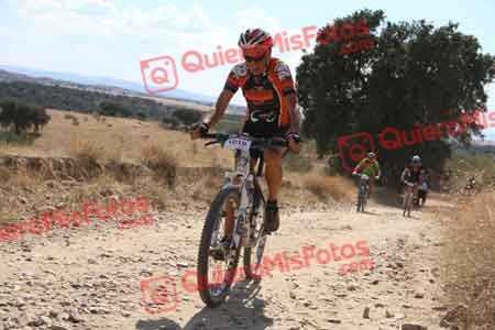 JOSE SANTANA CALVO Talajara 2015 41140