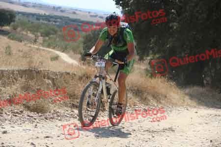 MARIO ACEITUNO ROSADO Talajara 2015 41151