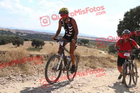 DAVID MAYORAL OLOMBRADA Talajara 2015 41439