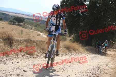 JAVIER VILLARROEL MILAN Talajara 2015 41450