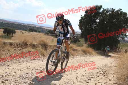 JAVIER VILLARROEL MILAN Talajara 2015 41451