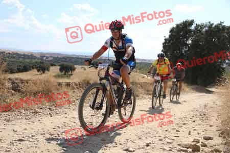 JOSE MARIA PADILLA MERIDA Talajara 2015 41506