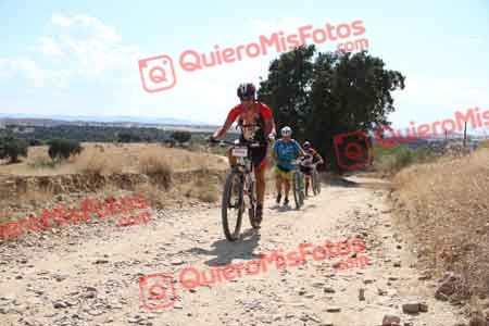 JON ZOTES ALONSO Talajara 2015 41520
