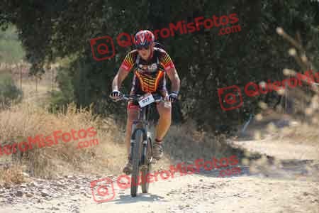 MIGUEL ANGEL MARCOS SANCHEZ Talajara 2015 41709