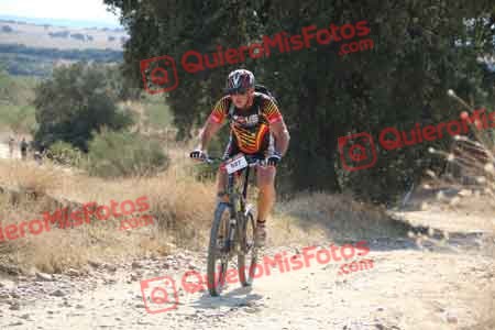 MIGUEL ANGEL MARCOS SANCHEZ Talajara 2015 41710