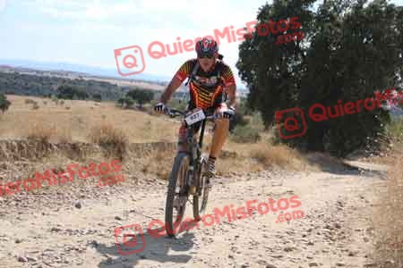 MIGUEL ANGEL MARCOS SANCHEZ Talajara 2015 41713