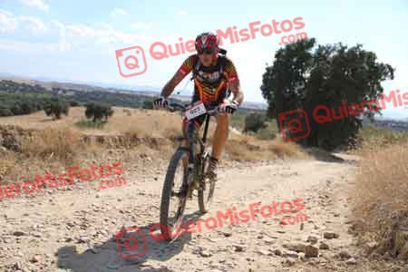 MIGUEL ANGEL MARCOS SANCHEZ Talajara 2015 41714
