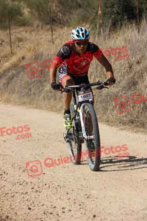 JORGE GALISTEO DE CABO Talajara 2015 18642
