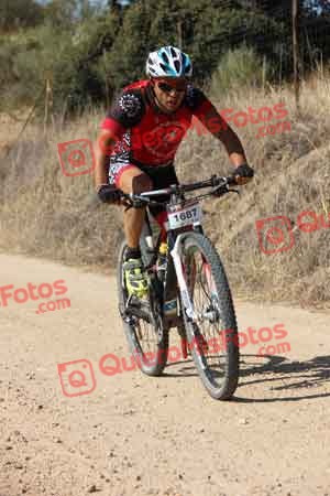 JORGE GALISTEO DE CABO Talajara 2015 18643
