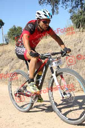 JORGE GALISTEO DE CABO Talajara 2015 18644