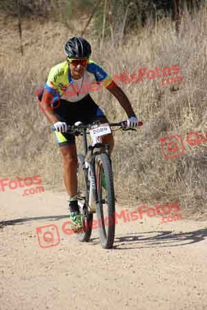 JONATHAN PAZ MADRONO Talajara 2015 18791