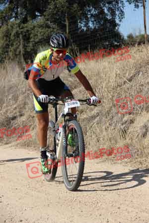 JONATHAN PAZ MADRONO Talajara 2015 18793