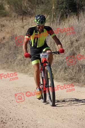 PEDRO LUIS CUESTA COLMENAREJO Talajara 2015 18801