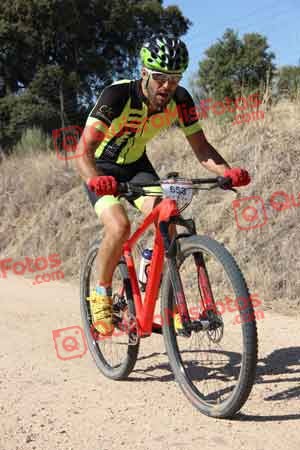 PEDRO LUIS CUESTA COLMENAREJO Talajara 2015 18803