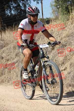MARIANO HERNANDEZ BARRERA Talajara 2015 19686