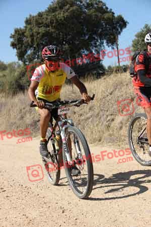 JUAN PEDRO POZA COSTA Talajara 2015 19759
