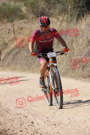 MIGUEL SERRANO SOLIS Talajara 2015 20478
