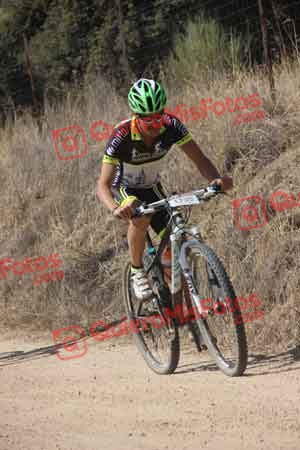 JOAQUIN GONZALEZ CARDENA Talajara 2015 20621