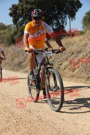 FRANCISCO GOMEZ VERA Talajara 2015 20789