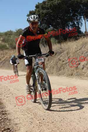 JUAN SANCHEZ GALAN Talajara 2015 21189