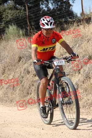 JAVIER PALOU DIAZ Talajara 2015 21192