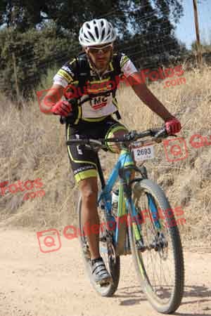 SERGIO GOMEZ AMORES Talajara 2015 21849