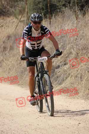VICENTE SALCEDO NUEVO Talajara 2015 22008