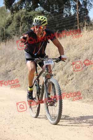 JESUS MENOR MORALES Talajara 2015 22101