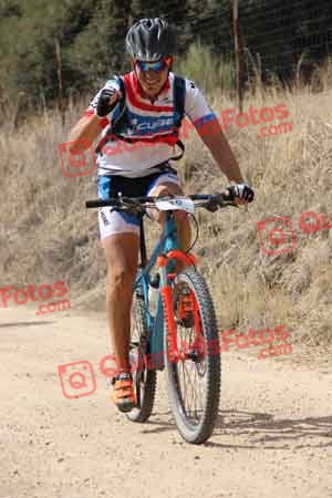 ISMAEL GIL REAL Talajara 2015 22177