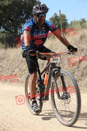 MIGUEL PASTRANA VILLA Talajara 2015 22351